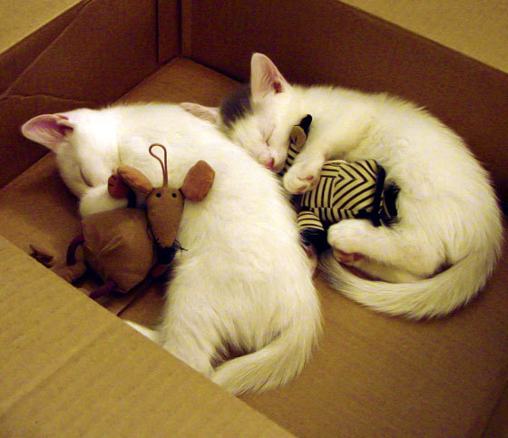 【比赛纪录】奥沙利文的罚分、犯规与逆转瞬间集锦，奥沙利文超分了对手还在继续击打