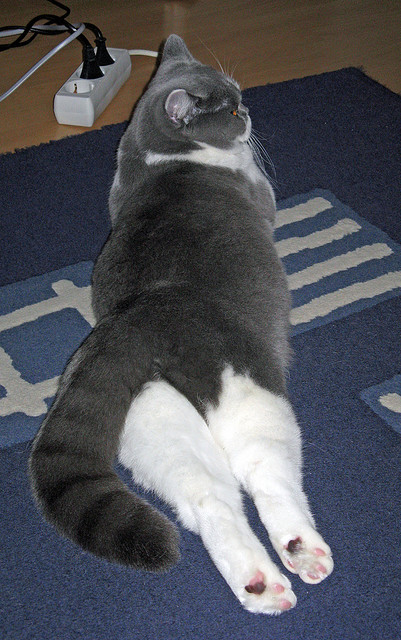 传奇“逆袭”故事：从低谷到巅峰的励志传奇，关于传奇励志的古装剧