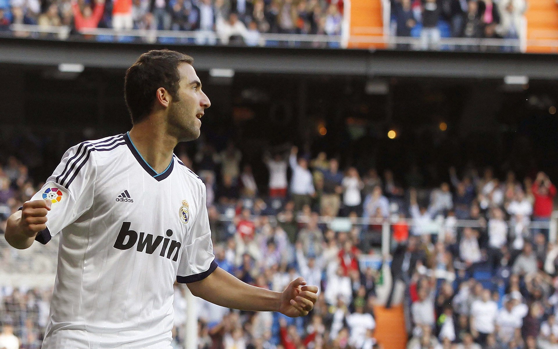 体育新闻中心赛事志愿者风采，体育赛事志愿者的工作